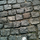 Image for article titled Shooting Challenge: Cellphone Gallery Part 3